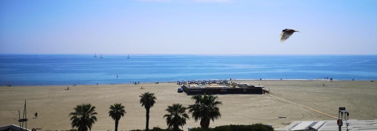 20 M2 De Terrasse Face A La Mer A Canet En Roussillon كانيه المظهر الخارجي الصورة